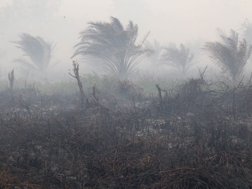 Haze finger-pointing: Time for companies to show and tell