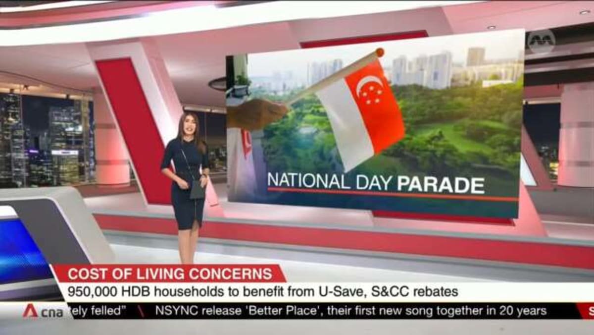 National Day Parade in 2024 and 2025 to be held at the Padang Video CNA