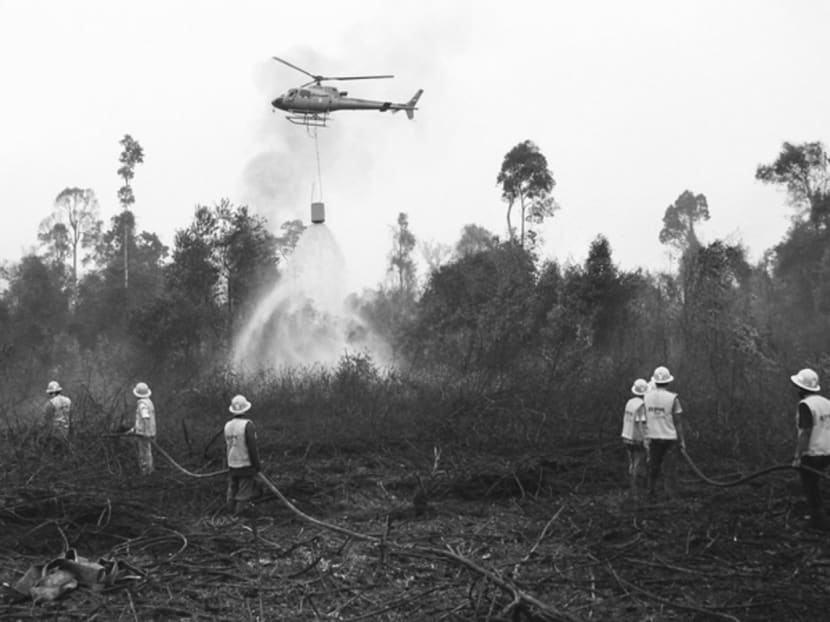 Firefighters extinguishing burning peatlands in Riau in 2013. Recognition is growing about the need to stop commercial expansion into virgin peatland. The Indonesian government 

has stopped such permits. Photo: Reuters