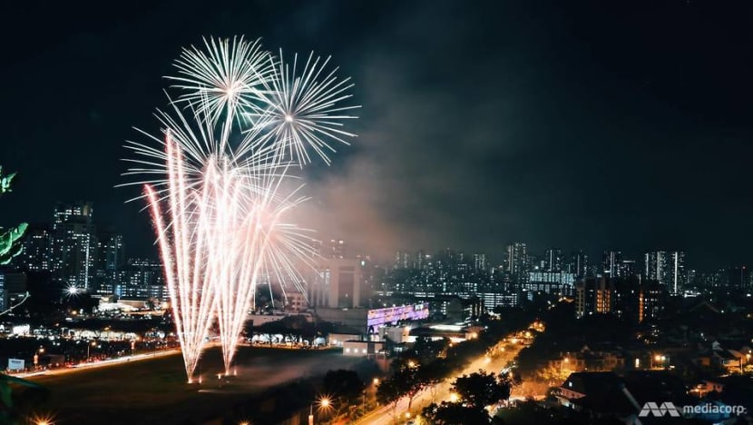 In pictures: Fireworks light up the night sky as Singapore celebrates its 55th birthday