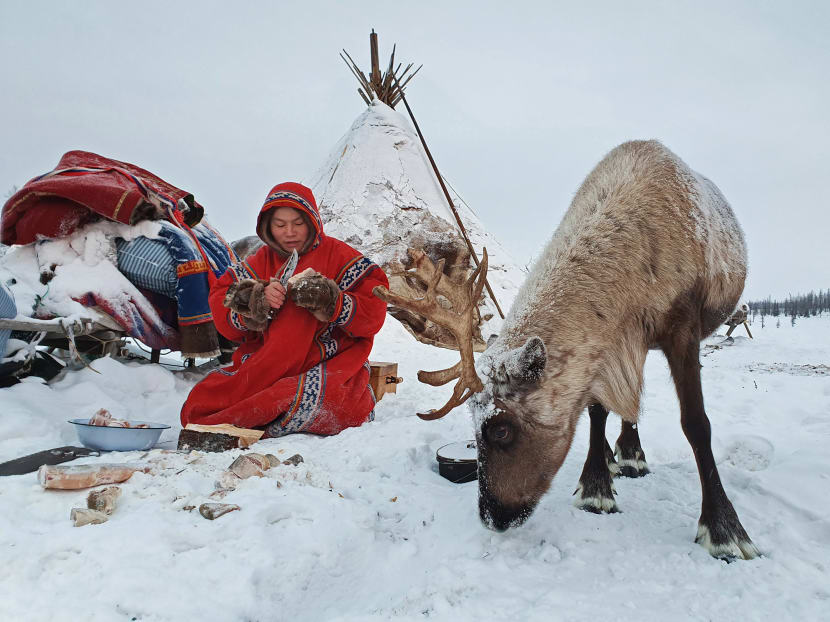 Indigenous nomad Yeiko Serotetto rounds up reindeer at his family's camp in the Yamal-Nenets Autonomous Region of Russia on February 14, 2020.