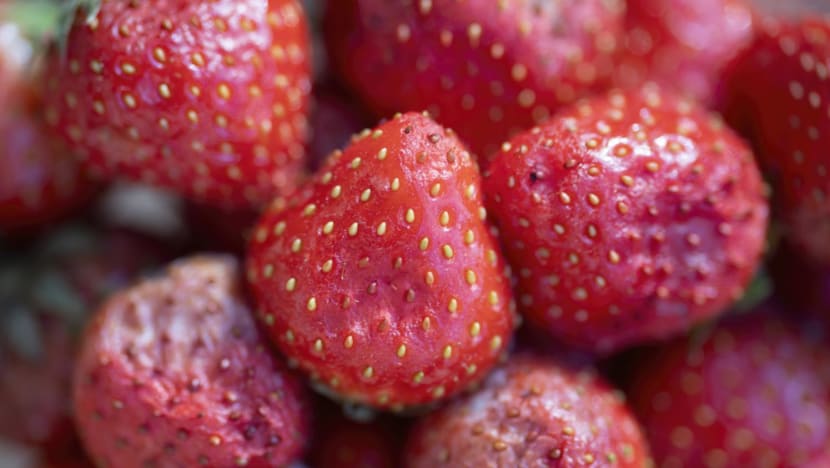 'Ugly' food gaining acceptance in Singapore but more education needed, businesses say 'Ugly' food gaining acceptance in Singapore but more education needed, businesses say
