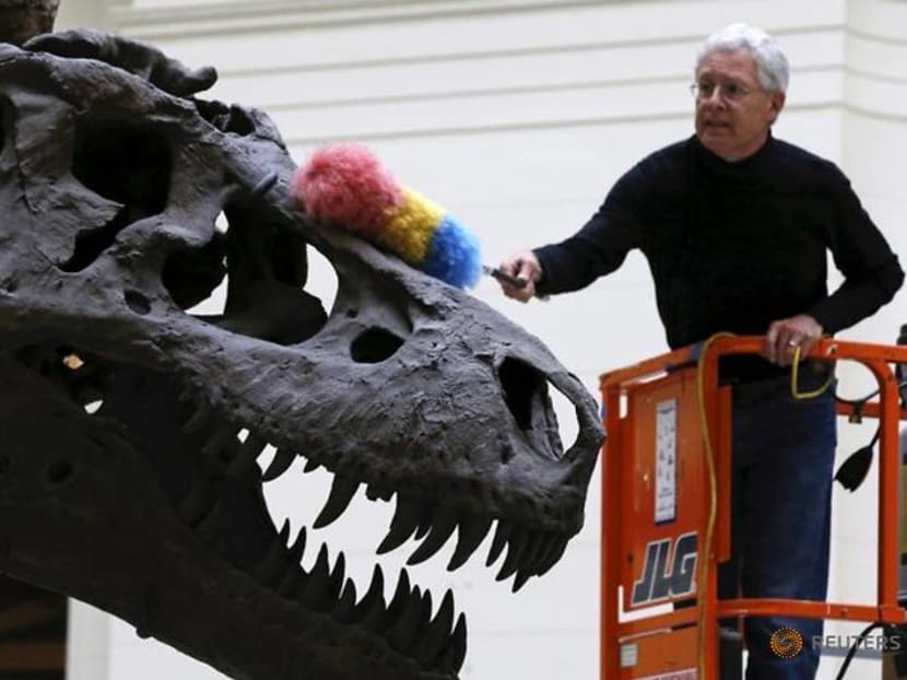 Slow and steady or a big spurt? How to grow a ferocious dinosaur Slow and steady or a big spurt? How to grow a ferocious dinosaur