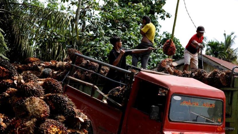 Indonesia sticking with domestic palm oil sales rules - deputy minister Indonesia sticking with domestic palm oil sales rules - deputy minister