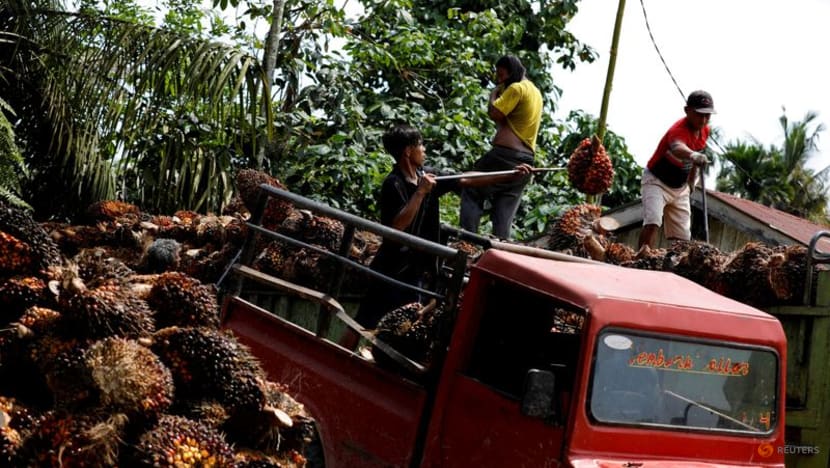 Indonesia sticking with domestic palm oil sales rules - deputy minister