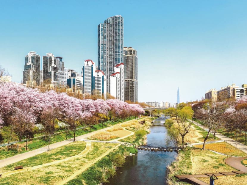 Escape to an idyllic natural wonderland in Gangnam Escape to an idyllic natural wonderland in Gangnam