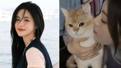 Chinese Actress Yang Chaoyue Accused Of Abandoning Her Pets After She Casually Said One Of Her Cats Has Gone “Gallivanting” And Has No Idea Where He Is