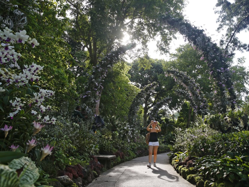 S$35m enhancements to National Orchid Garden by 2019