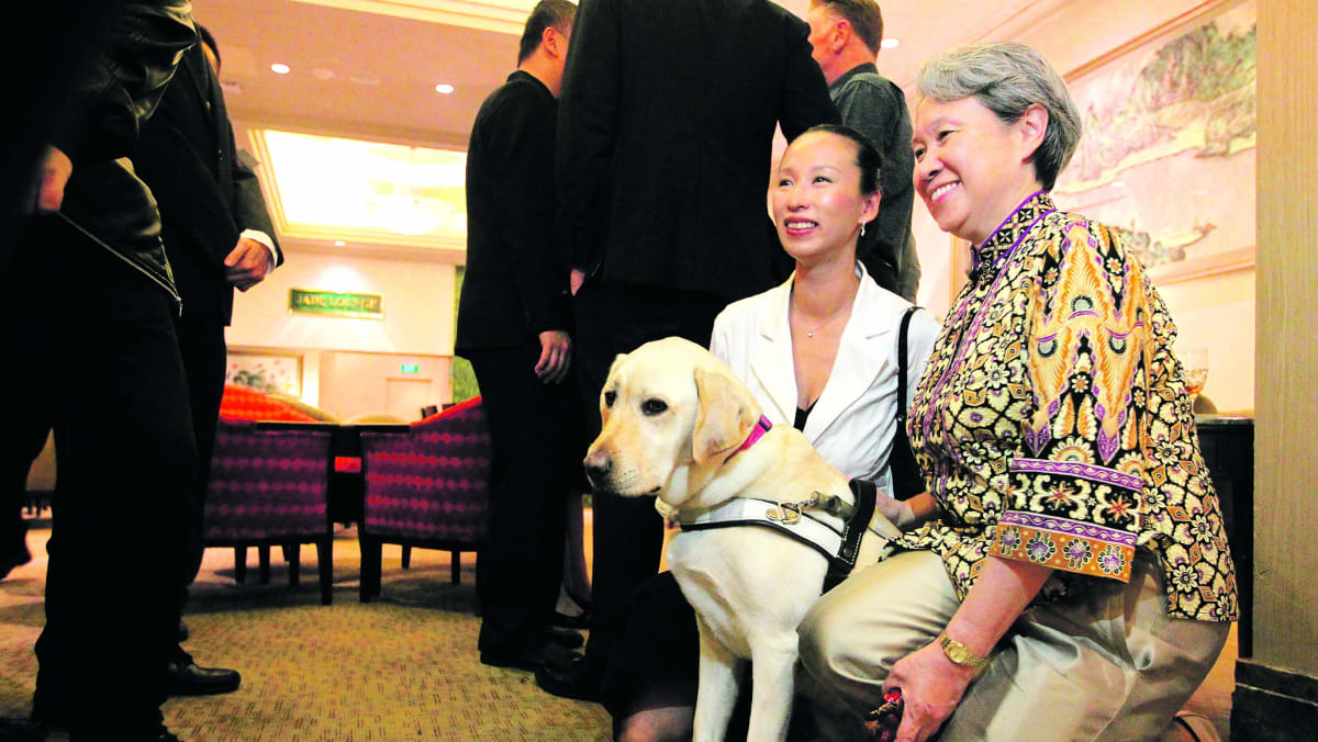 Cassandra chiu clearance guide dog