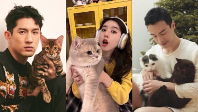 "Mine Cuter": Ayden Sng, Eleanor Lee, Lawrence Wong Compete On Whose Cats Are Cuter On Threads