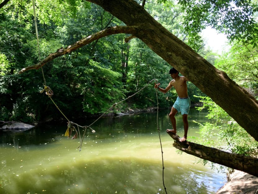 A teenager prepares to jump on a rope swing at Wissahickon Valley Park during a heatwave on Aug 4, 2022 in Philadelphia, Pennsylvania. A teenager prepares to jump on a rope swing at Wissahickon Valley Park during a heatwave on Aug 4, 2022 in Philadelphia, Pennsylvania.