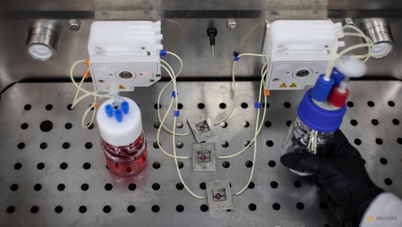 Cancer patients' own cells used in 3D printed tumours to test treatments Cancer patients' own cells used in 3D printed tumours to test treatments
