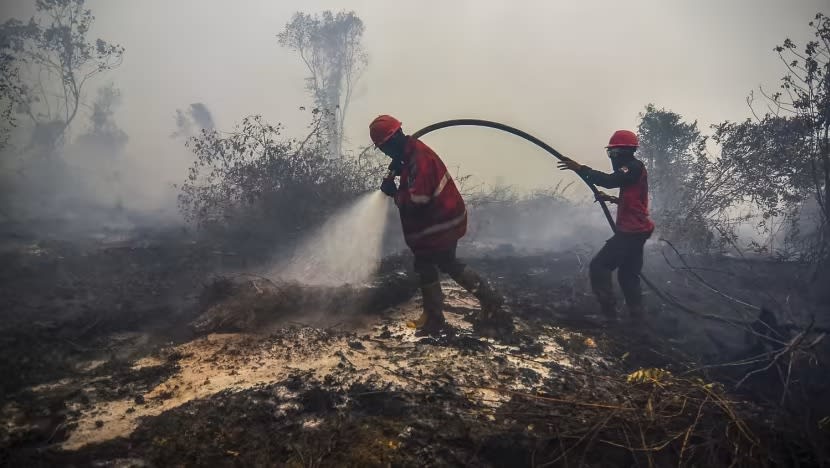 Indonesia cegah kebakaran hutan gambut guna 'teknologi hujan buatan'