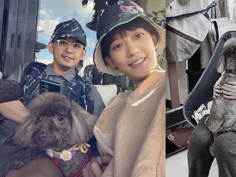 Mickey Huang And Summer Meng, Who Just Welcomed Their First Child, Wrongly Accused Of Abandoning Their Dog For Their Baby