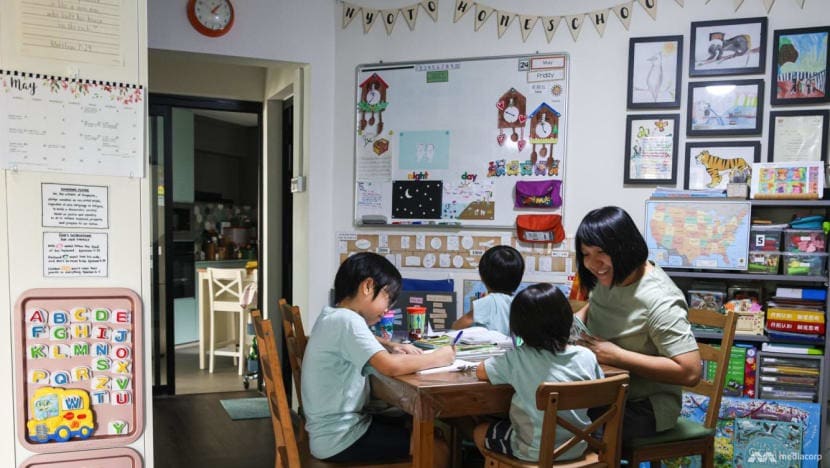 The Big Read: Not for the faint-hearted - inside the world of homeschooling  and how to tell if it works for your family - CNA
