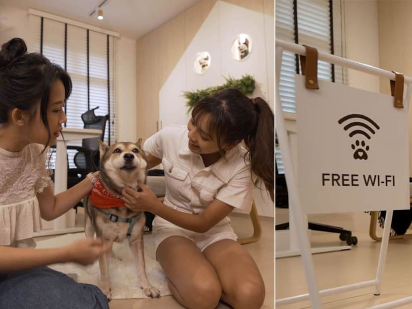 A 4-Room Flat With A Pet Café Theme? This Quirky Home Even Has A ‘Free Wi-Fi’ Sign, But That’s Not Its Most Outstanding Feature