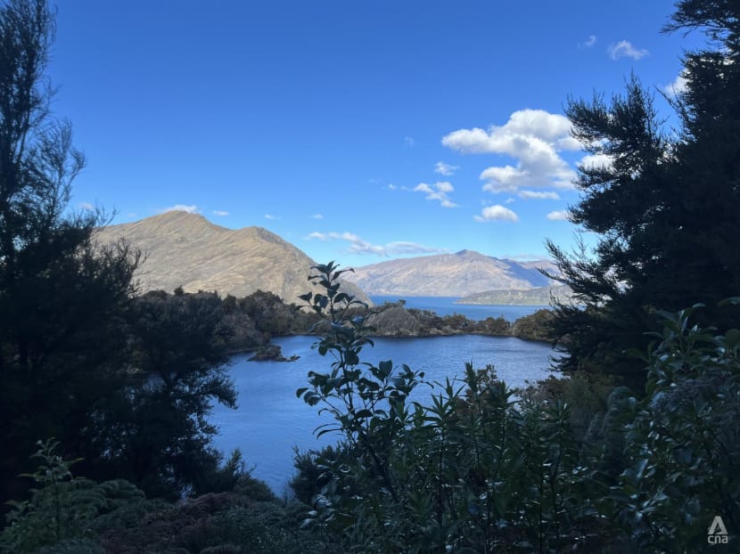 After 2 difficult pandemic years, I found closure – and rediscovered bliss – in New Zealand After 2 difficult pandemic years, I found closure – and rediscovered bliss – in New Zealand