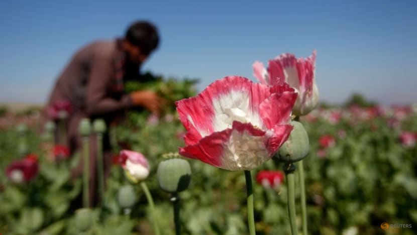 India seizes US$2.7 billion of heroin in haul from Afghanistan India seizes US$2.7 billion of heroin in haul from Afghanistan