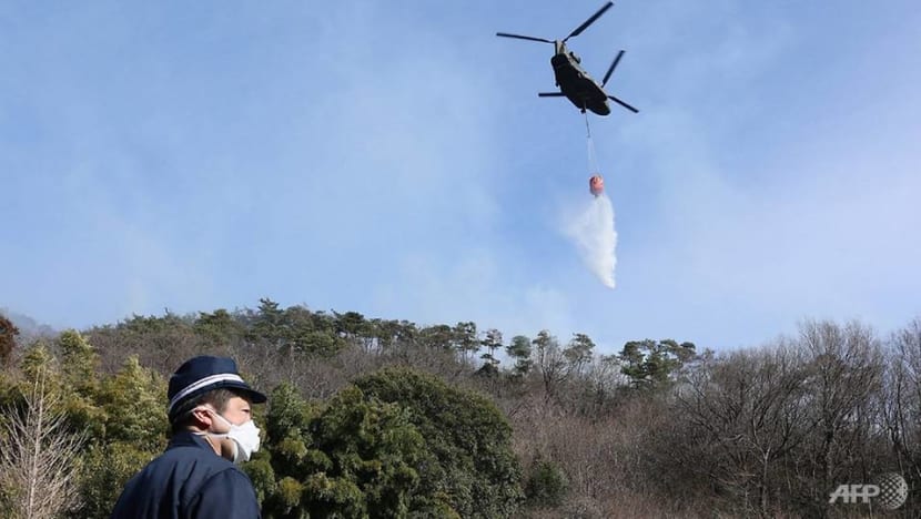 Japan wildfire rages for fifth day, more households to be urged to evacuate Japan wildfire rages for fifth day, more households to be urged to evacuate