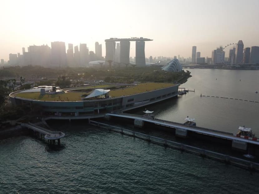 Land reclamation projects to combat climate change can be funded from past reserves: Lawrence Wong