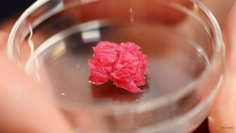 Japanese scientists work up an appetite for lab-grown Wagyu beef Japanese scientists work up an appetite for lab-grown Wagyu beef