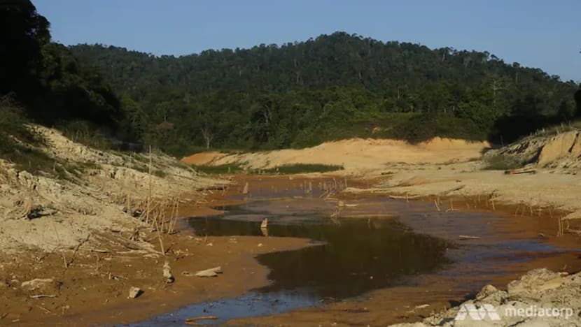 Ancaman terbesar kemampanan Sungai Johor adalah kurangnya perlindungan alam sekitar
