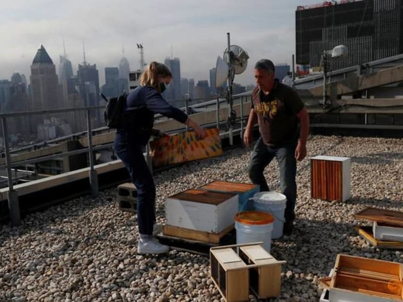 Beehive deliveries keep New Yorkers buzzing on rooftops, backyards Beehive deliveries keep New Yorkers buzzing on rooftops, backyards