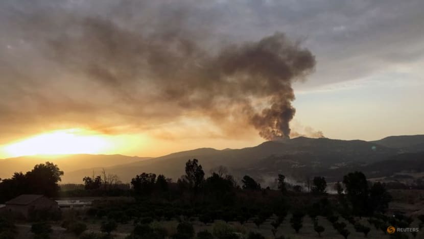 Algeria accuses groups it links to Morocco, Israel of setting wildfires Algeria accuses groups it links to Morocco, Israel of setting wildfires