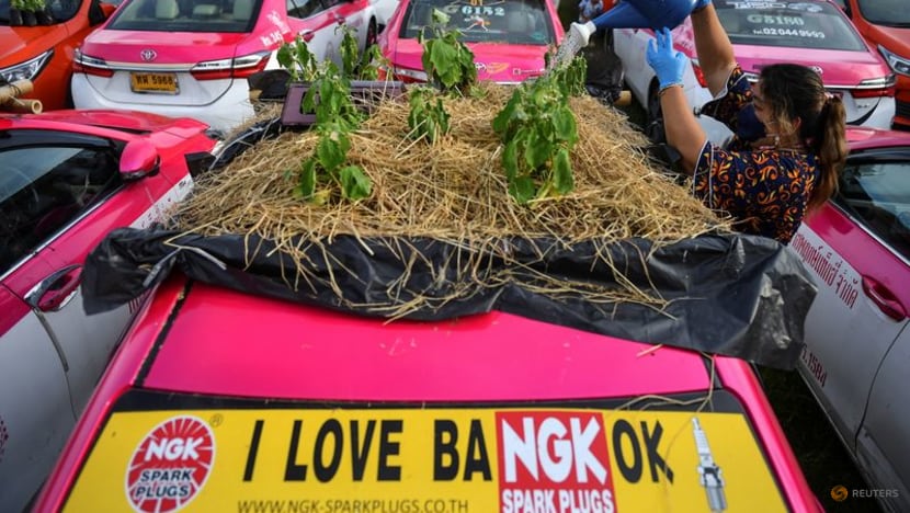 Green-thumbed Thai cabbies turn taxis into gardens amid COVID-19 crunch Green-thumbed Thai cabbies turn taxis into gardens amid COVID-19 crunch