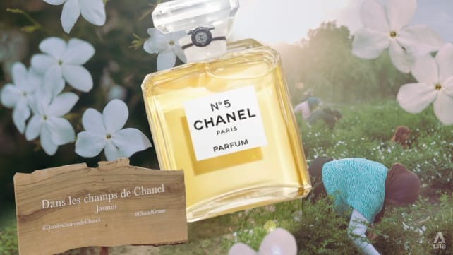 Did you know 1,000 jasmine flowers are used to produce a 30ml bottle of Chanel N°5 perfume?