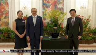 Singapore and Australia to launch A$20 million programme to help SMEs co-develop innovative green products | Video