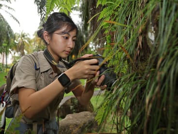 Ecologist Zoee Lim (pictured), 22, photographs a variety of insects and reptiles as a hobby, after being exposed to animals at a younger age.