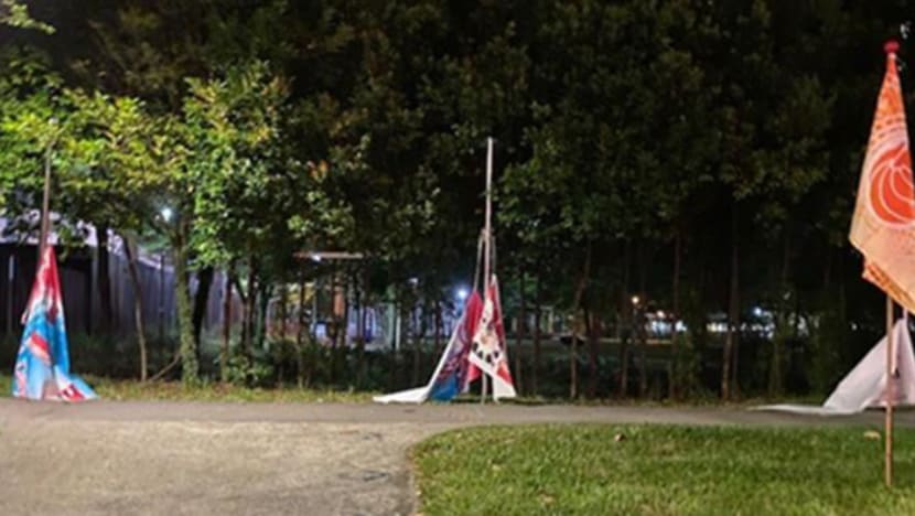 Man arrested for mischief, accused of damaging Singapore flags and banners in Punggol