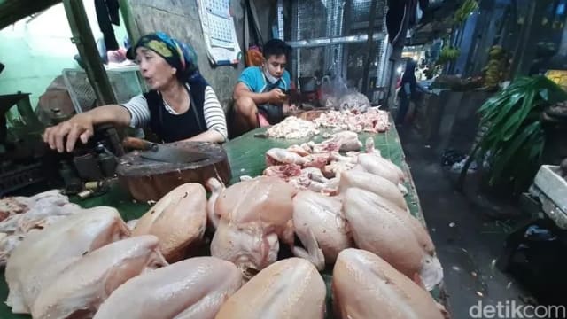 印鸡农再吁政府莫失商“鸡” 提供津贴助过剩鸡只出口狮城
