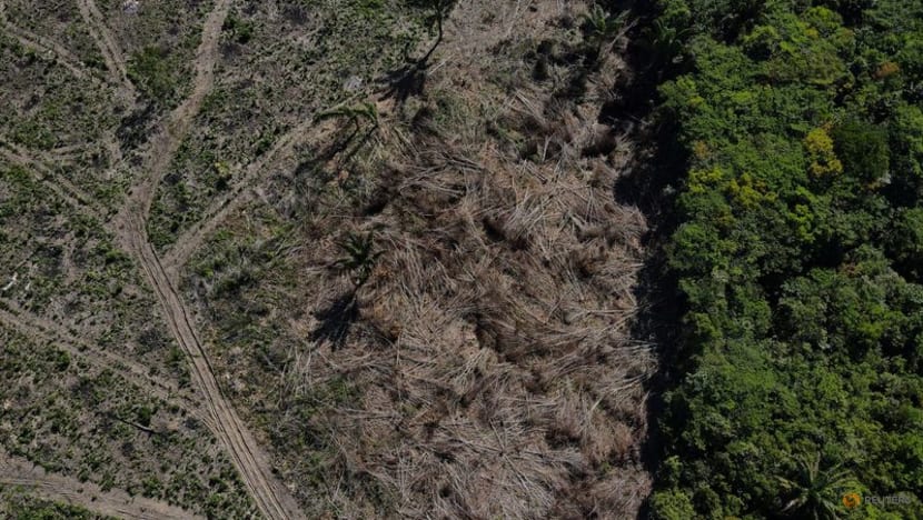 Deforestation in Brazil's Amazon hits record for first half of 2022 Deforestation in Brazil's Amazon hits record for first half of 2022