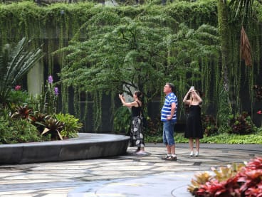 Singapore Tourism Board plans to leverage Singapore's identity as a "City in Nature", referring to the Government’s vision of creating a liveable and sustainable home for the people by increasing green spaces.