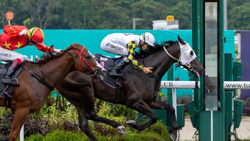 'This is the only thing I know': Horse trainers, jockeys express shock, disbelief at Turf Club closure 'This is the only thing I know': Horse trainers, jockeys express shock, disbelief at Turf Club closure