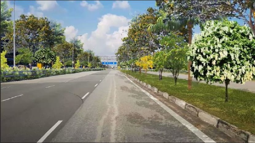 30,000 pokok akan ditanam di Pulau Jurong dalam beberapa tahun akan datang