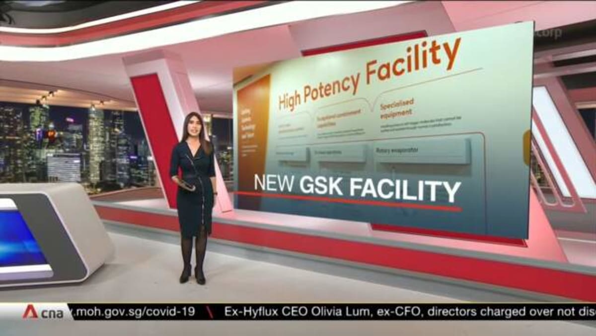 Pharmaceutical firm GSK opens S$44 million facility in Jurong Video CNA
