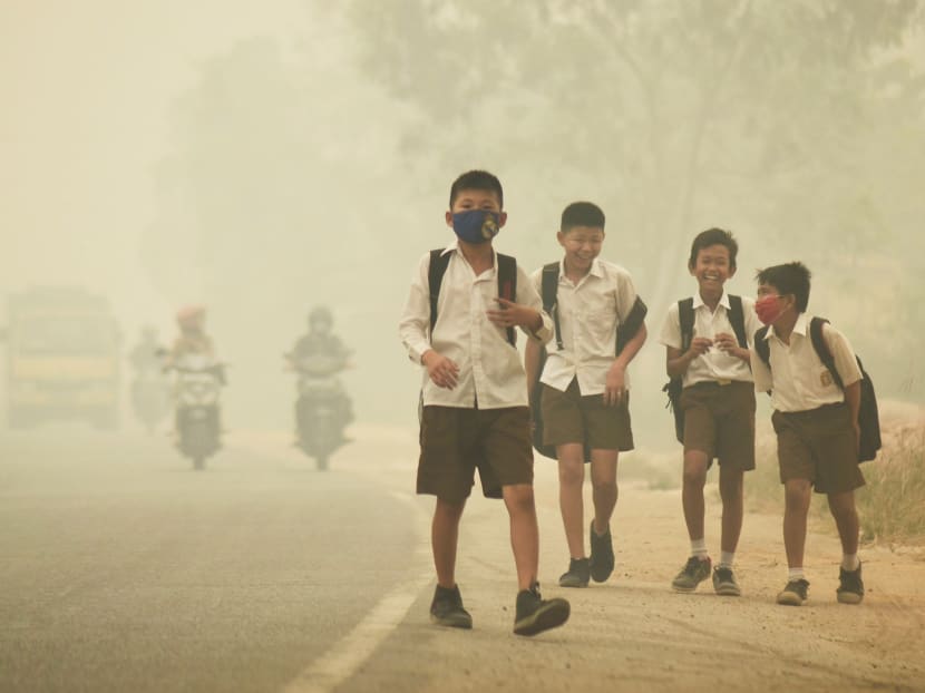 Haze death toll in Indonesia climbing, says minister Haze death toll in Indonesia climbing, says minister