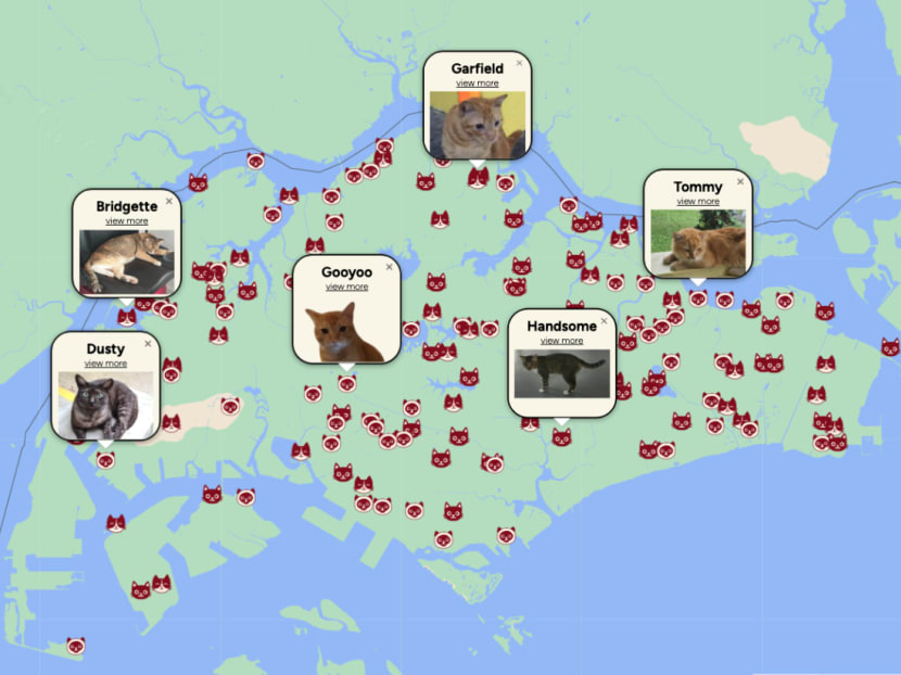 A screenshot of the interactive map of community cats in Singapore, updated on Jan 18, 2023, to conceal the exact location of the cats.