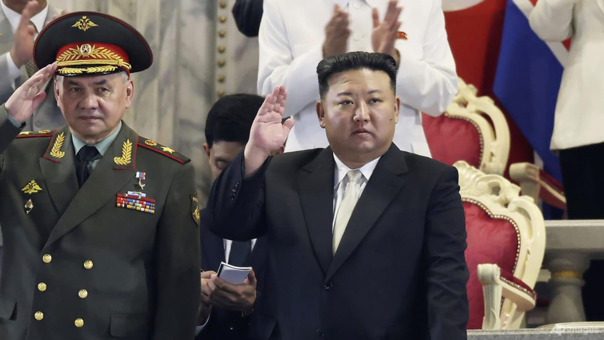 US says Russia defence minister Shoigu looking for weapons in North Korea