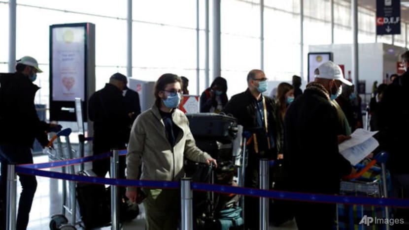 Bugs and bird nests: Airlines dust off planes grounded by COVID-19 Bugs and bird nests: Airlines dust off planes grounded by COVID-19