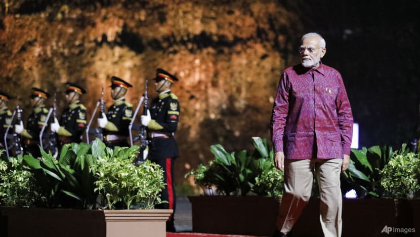 Developing countries to be better represented on world stage as India holds key global summits Developing countries to be better represented on world stage as India holds key global summits