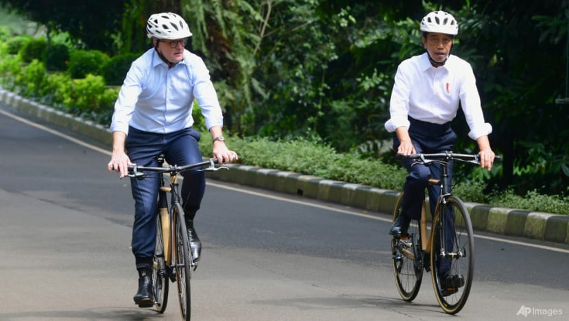 Indonesian designer's wheels behind bamboo bike bromance between Jokowi, Albanese Indonesian designer's wheels behind bamboo bike bromance between Jokowi, Albanese