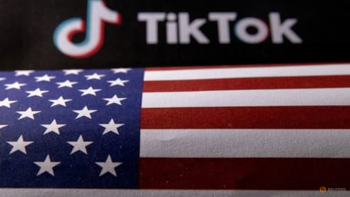 US officials to brief senators on threats posed by TikTok, aide says