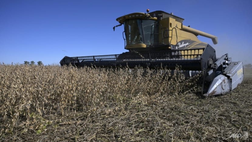 Soy boon for Argentina as Ukraine war boosts prices Soy boon for Argentina as Ukraine war boosts prices