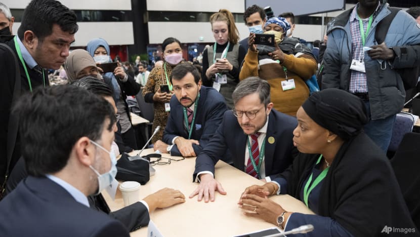 'We could do better': Experts 'guardedly optimistic' about historic COP15 deal 'We could do better': Experts 'guardedly optimistic' about historic COP15 deal