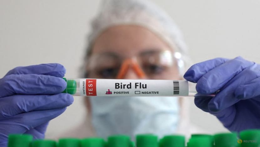 First H3N8 bird flu death recorded in China First H3N8 bird flu death recorded in China