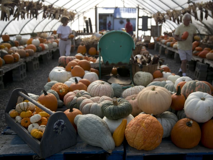 Varietal pumpkins on display. Photo: Bloomberg